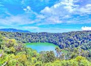 Bukit Daun Hotel  Pesona dan Kenyamanan