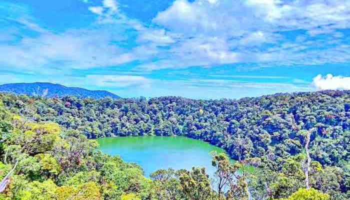 Bukit Daun Hotel  Pesona dan Kenyamanan