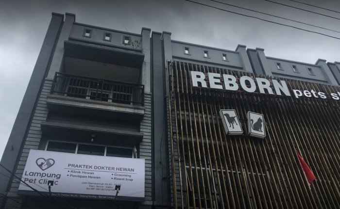 Lampung bandar sahid hotel indonesia ksmtour reservasi