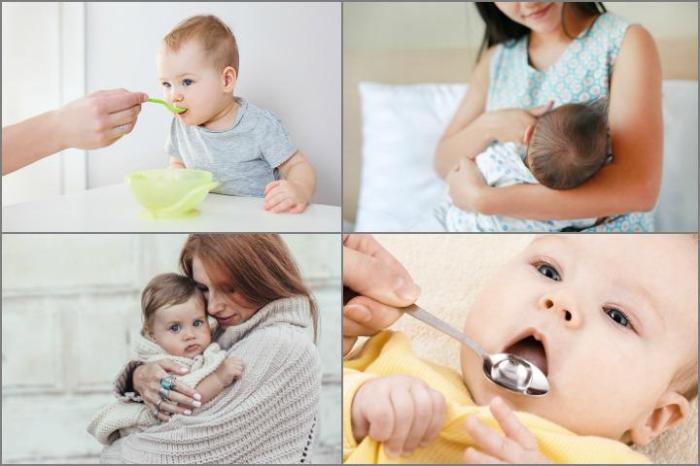 Toddlers remedies cough salve homesteadingfamily