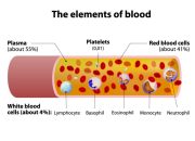 Sistem komputer terdiri dari 3 unsur berikut kecuali?