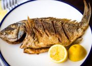 Bibit Ikan Panduan Lengkap Budidaya