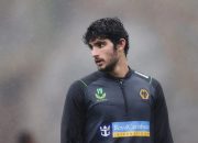 Daftar Pemain Wolves Panduan Lengkap
