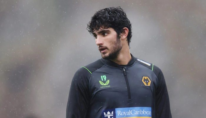 Daftar Pemain Wolves Panduan Lengkap