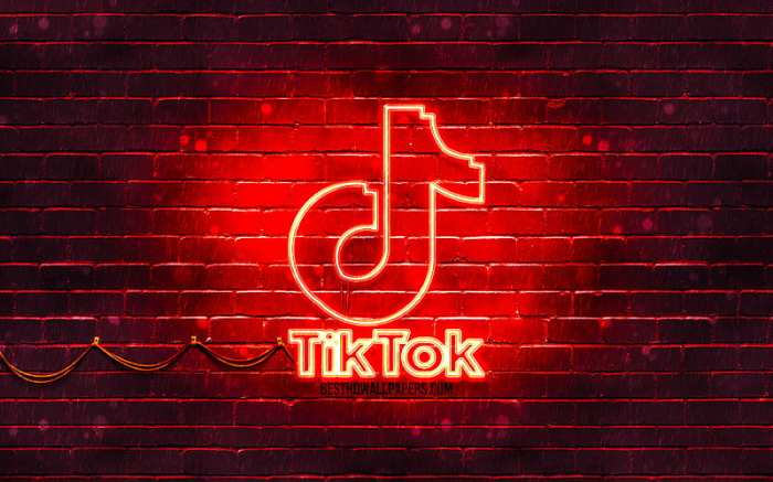 Arti dino merah di tiktok