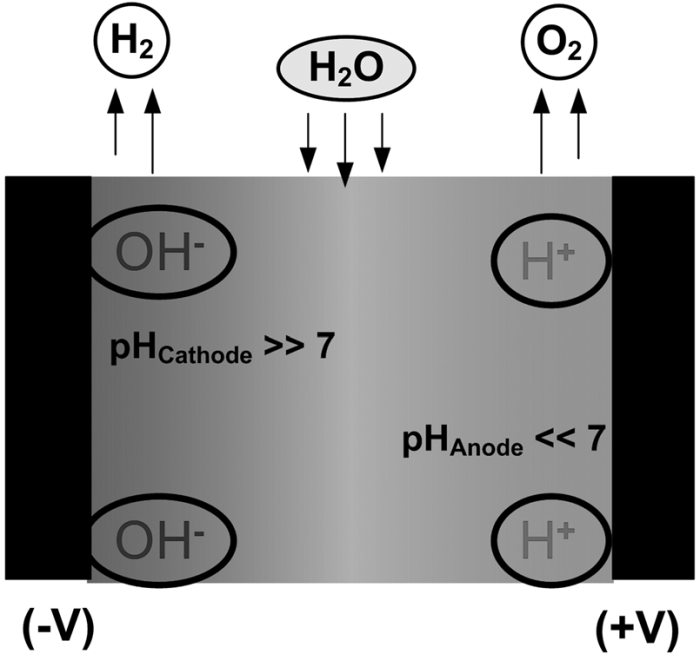 Hydrolysis