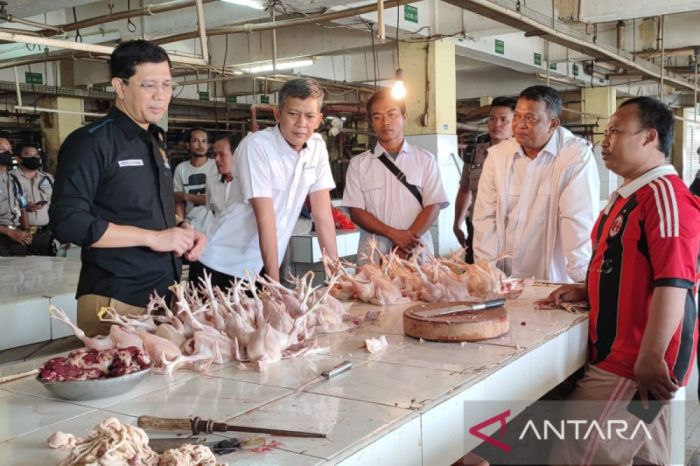 Harga bawang merah kramat jati