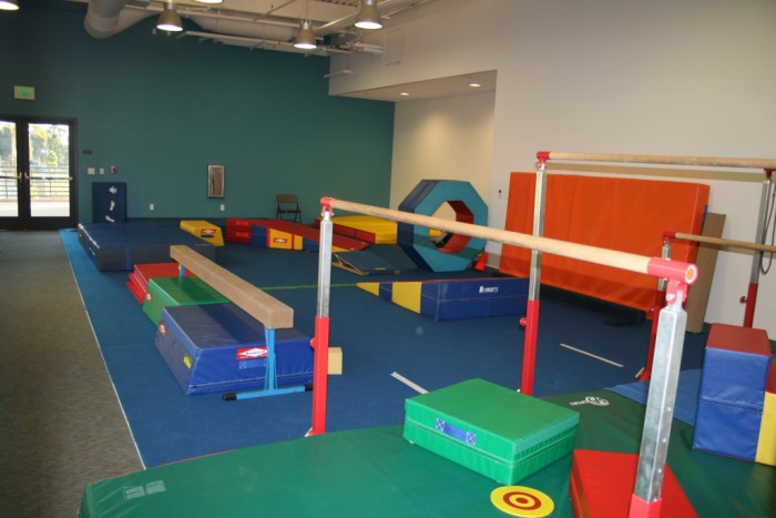 Gymnastics tumble tallypress