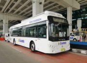 Damri Botanika Bogor Panduan Lengkap Perjalanan