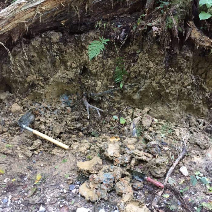 Di bawah ini adalah persyaratan tanah liat kecuali