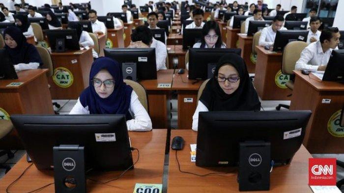 Jadwal Seleksi CPNS 2024 Terbaru Panduan Lengkap