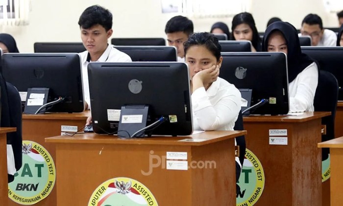 Pengumuman hasil seleksi cpns
