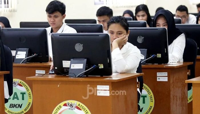 CPNS Apa Saja Panduan Lengkap Seleksi CPNS