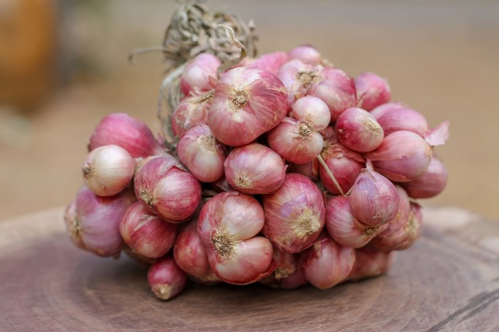 Dayak onion borneo