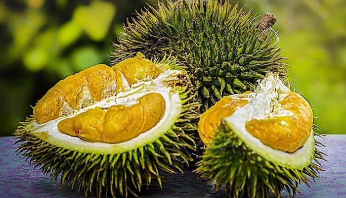 Buah Langka di Indonesia Kekayaan Nusantara