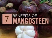Efek Samping Buah Manggis Panduan Lengkap