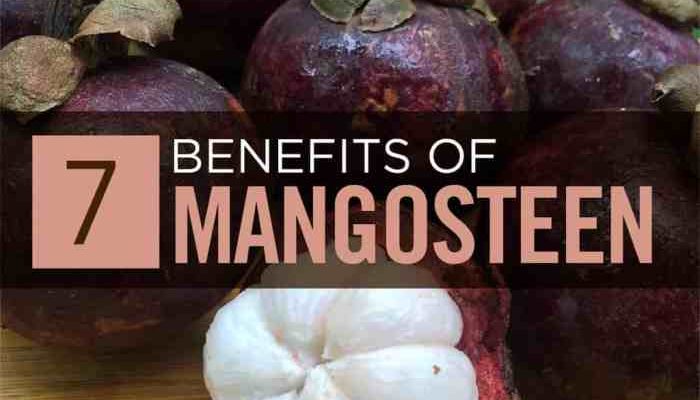 Efek Samping Buah Manggis Panduan Lengkap