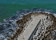 Pantai Congot Daerah Istimewa Yogyakarta