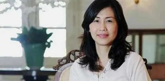 Profil Hakim Ahok Lika-liku Kariernya