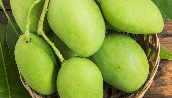 Foto Buah Mangga Panduan Lengkap
