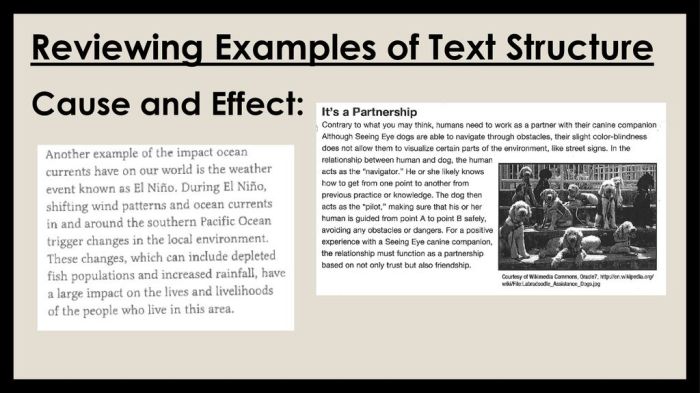 Contoh teks ulasan beserta strukturnya