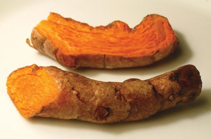 Turmeric history kasturi manjal scientific name