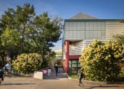 Menjelajah Makna dan Simbolisme Tepian Batang