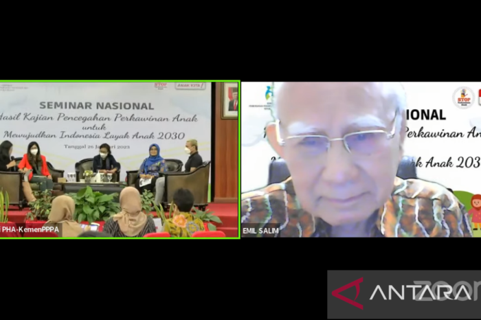 Titip Pesan ke Prabowo, Emil Salim Minta Kabinet Merah Putih