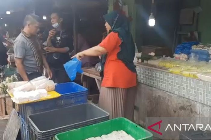 Harga bawang merah di pasar induk kramat jati