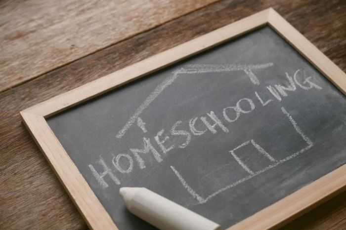 Legalitas dan regulasi homeschooling di indonesia terbaru tahun 2024