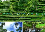 Jelajahi Wisata Batang Jawa Tengah