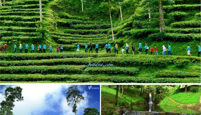 Jelajahi Wisata Batang Jawa Tengah