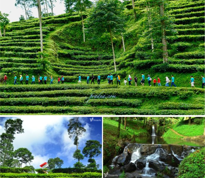 Wisata batang jawa tengah