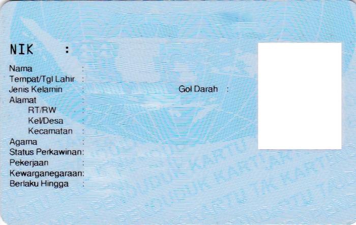 Cek ktp nik aplikasi secara offline maupun memang biasanya menunjukkan kepentingan hanya muncul hasil privasi nama