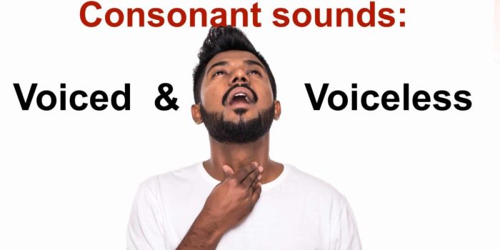 Voiced voiceless consonants
