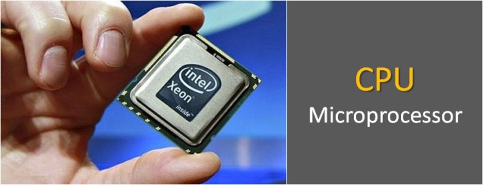 Berikut ini merupakan fungsi cpu kecuali