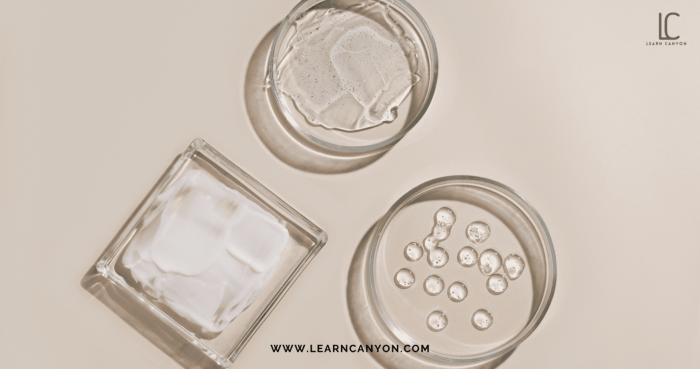 Dibawah ini dapat dijadikan sebagai bahan pengawet kecuali