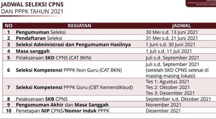 Jadwal cpns terbaru