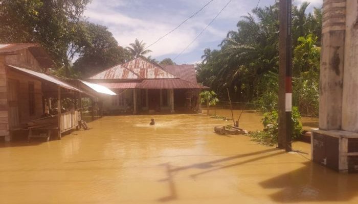 Banjir Aceh Barat Hari Ini Situasi Terkini