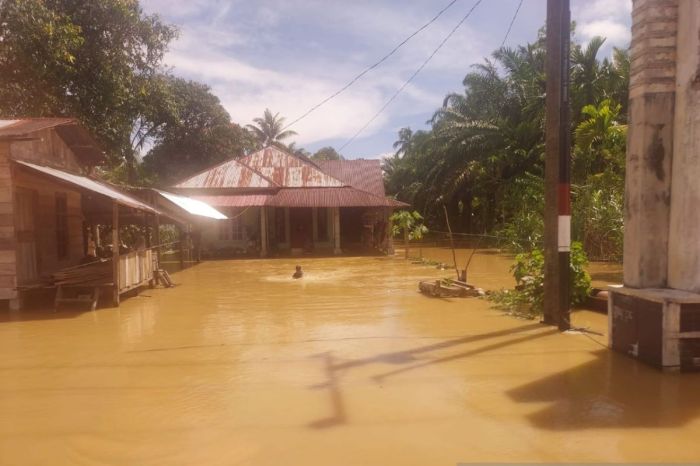 Banjir aceh barat hari ini