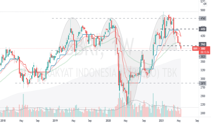 Bbri tradingview idx