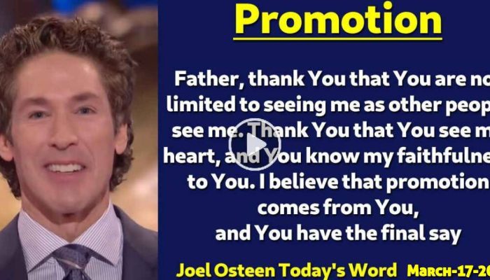 Katalog Promo Hari Ini Panduan Lengkap