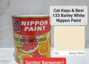 Cat Besi Nippon Paint Panduan Lengkap
