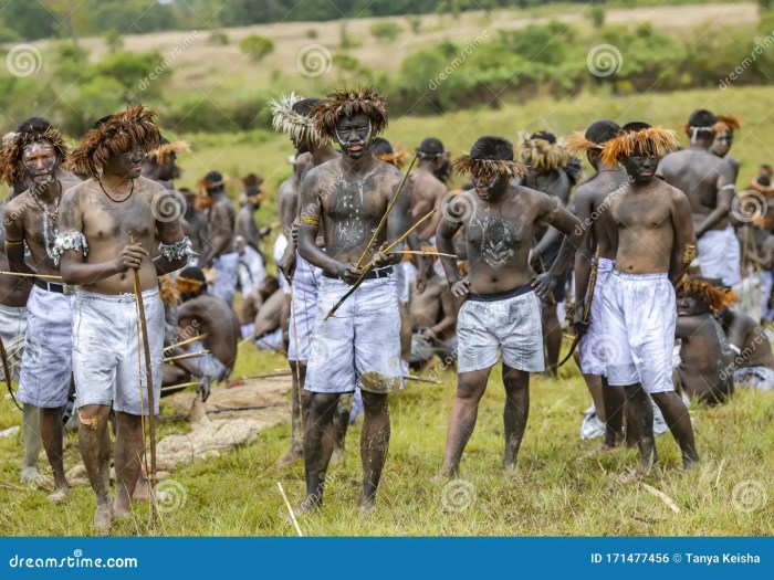 Pakaian adat irian jaya