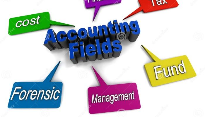 Bidang Akuntansi Sejarah, Cabang, dan Perannya