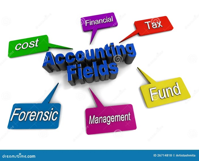 Accounting fields stock royalty cost 3d management forensic legal fund tax render financial etc shown various white like dreamstime