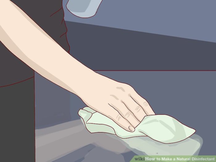 Cara membuat disinfectant