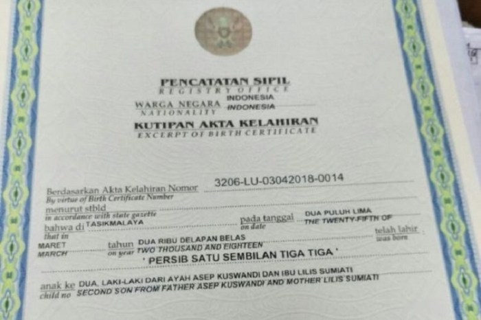 Daftar akta kelahiran online