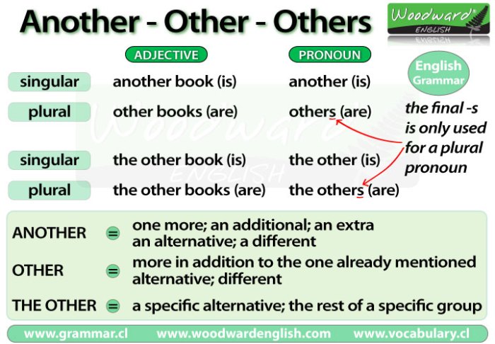 Other grammar woodwardenglish woodward rules singular nouns Other grammar woodwardenglish woodward rules singular nouns
