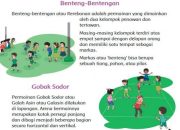 Cara Bermain Gobak Sodor Panduan Lengkap